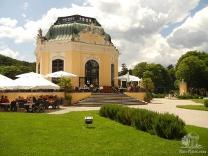 Шенбруннский зоопарк — дикая республика в имперской Вене