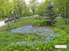 Парк возле музея Воды (Киев и область)