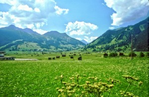 Австрийские Альпы летом (Австрия)