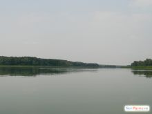Река достаточно широкая, но удобных берегов почти нет. все заросло тростником (Киев и область)