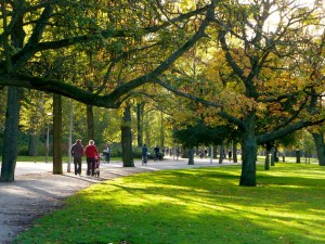 Аллея в парке Вондел, Амстердам (Амстердам)