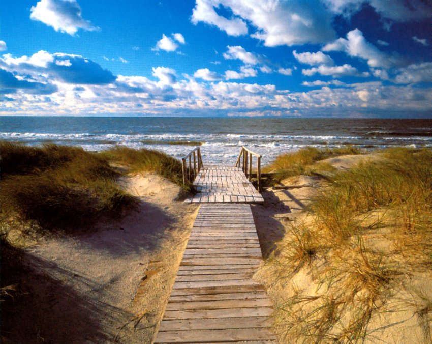 Фото достопримечательностей Прибалтики: Поросшие травой дюны и выход к морю