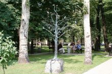 Дерево на камне (Донецк и область)