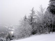 Зима в Славском во всей красе (Карпаты и Закарпатье)