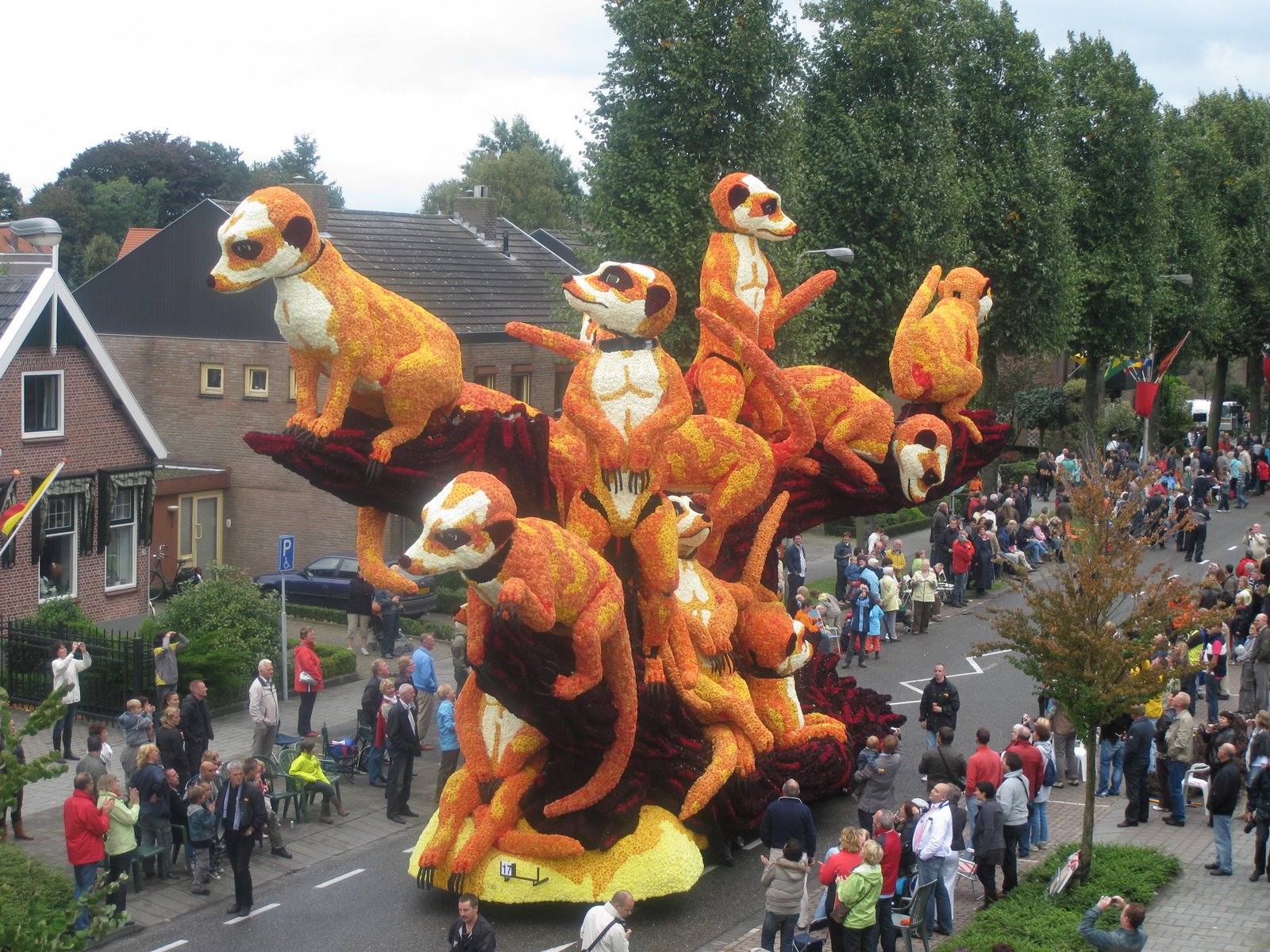 Цветочный фестиваль Bloemencorso в Нидерландах