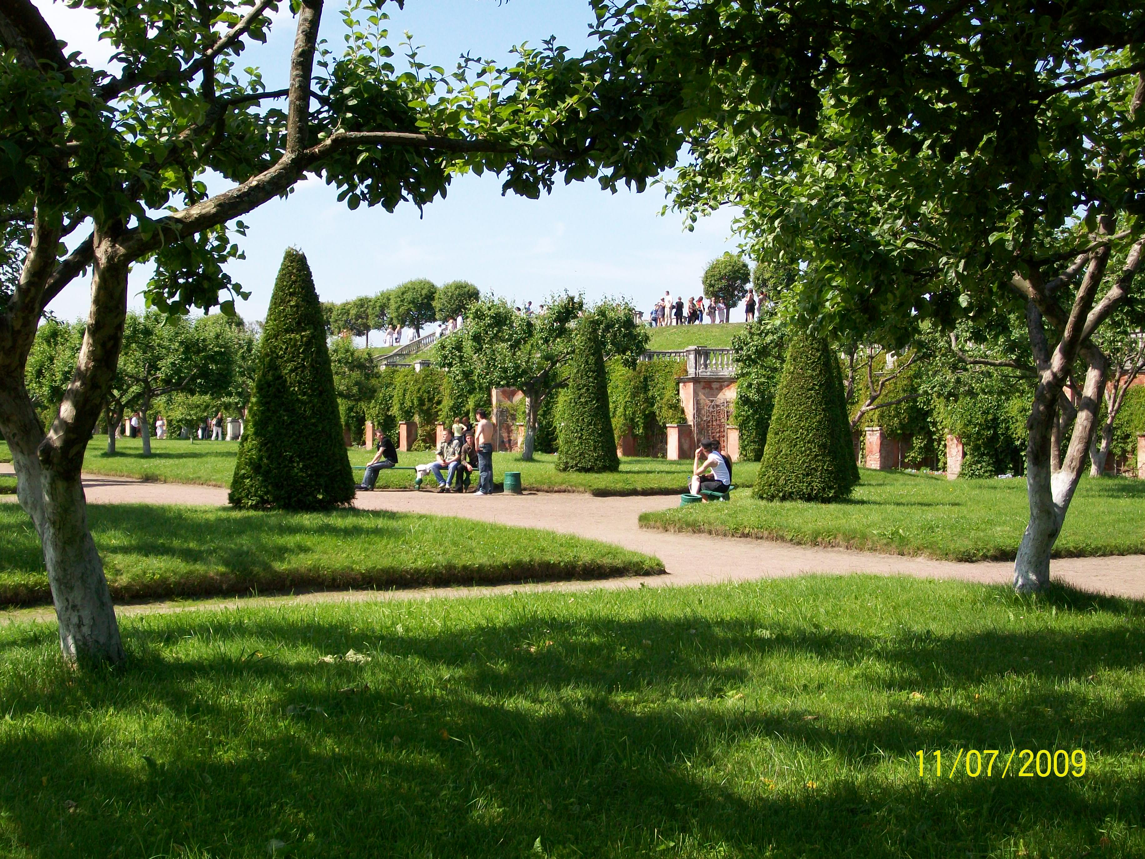 Город сад 1 класс. Парк Петергоф насаждения. Боскет парк Петергоф. Парк Оксиленд. Сады Италии в Петергофе.