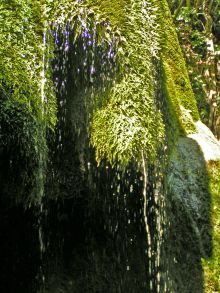 Водопад "Серебряные струи". Шапка из мха вблизи (Крым)