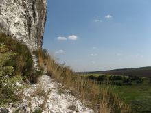 Вид с горы на ландшафтный парк «Краматорский» (Донецк и область)