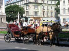 Прогулочный экипаж возле Львовского оперного (Львов и область)