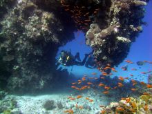 Самые незабываемые впечатления от Хургады - дайвинг в коралловом рифе (Египет)