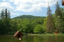 Вид на пруд и парк напротив замка Шенборнов (Карпаты и Закарпатье)
