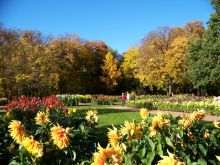 Осенняя роскошь парка в Дрездене (Германия)