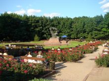 Королевский парк Лазенки. Впереди памятник Шопену (Польша)