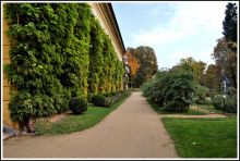 Вокруг дворца Любомирских раскинулся прекрасный ландшафтный парк (Польша)