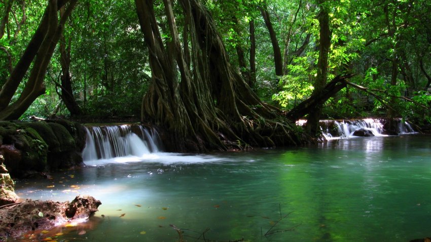Фото достопримечательностей Таиланда: Национальный парк Бок Хорани в Краби