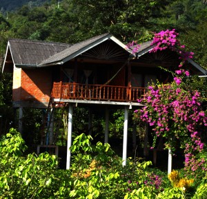 Оригинальный домик местных жителей (Тайланд)