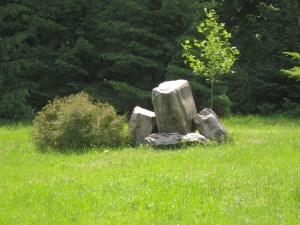 Каменные глыбы в Тростянецком дендрологическом парке (Чернигов и область)