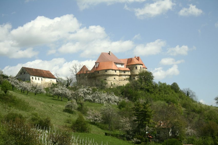Фото достопримечательностей Хорватии: Панорама замка Бакар