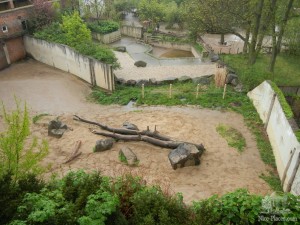 Площадка для носорогов. К сожалению они прятались от дождя (Чехия)