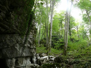 Воронцовские пещеры (Кавказ и Черноморское побережье)