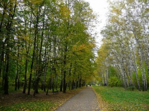 Городской парк в Туле (Европейская часть России)