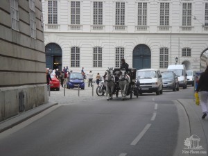 Фиакры в Вене - приоритетный вид транспорта ;) (Вена)