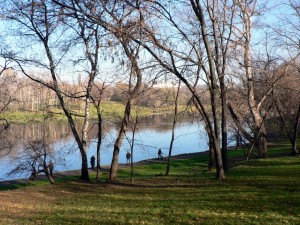 Вид на люблинский пруд и парк (Москва и Подмосковье)