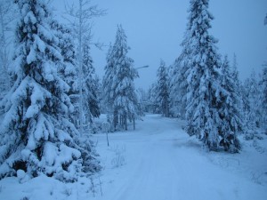 Трасса для лыжников на горе Оунасваара (Страны Скандинавии)