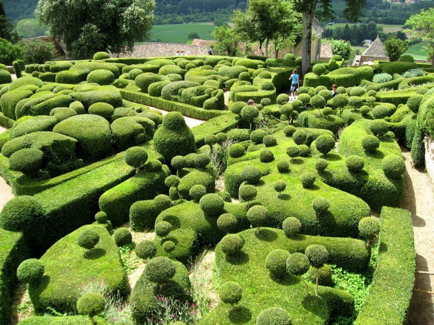 Фото достопримечательностей Франции: Сад Marqueyssac — вековые самшиты в огранке профессиональных садовников