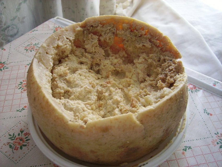 Фото достопримечательностей Италии: Знаменитый и запрещенный в Италии сыр Casu marzu, изготовленный личинками сырной мухи