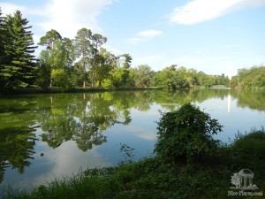 Озеро в английском парке  (Чехия)