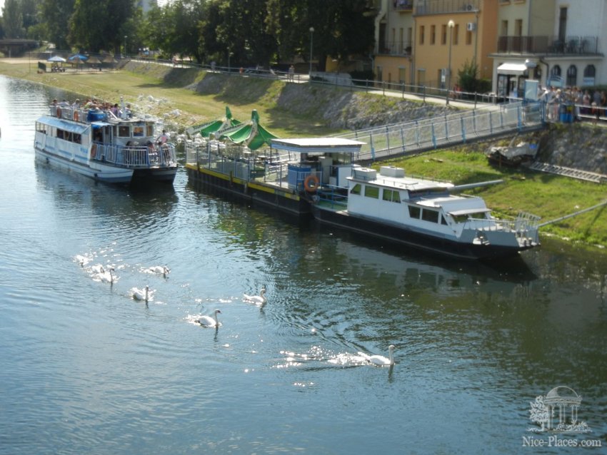 Фото достопримечательностей Словакии: Прогулочный кораблик в сопровождении белых лебедей :)