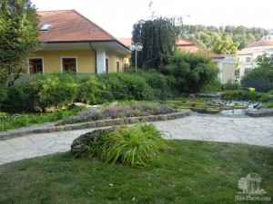 Вид на пруды с рыбками и лилиями Виктория регия (Словакия)