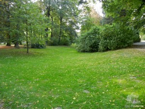 Просторные лужайки в парке "Сад Янка Краля".  (Словакия)