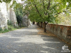 Аллея вдоль крепостных стен братиславского града (Словакия)