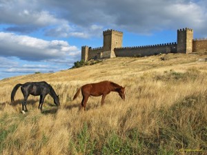 Пасущиеся кони недалеко от крепости (Крым)