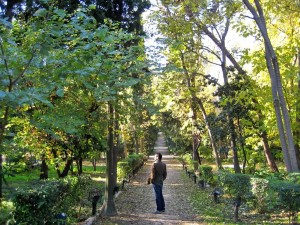 В парковой зоне недалеко от дворца Заппейон (Греция)