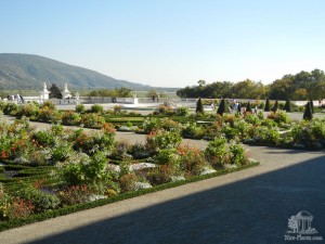 Замковый парк Schloss Hof. (Австрия)