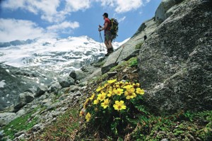 Национальный парк Высокий Тауэрн (Nationalpark Hohe Tauern). Австрия (Австрия)