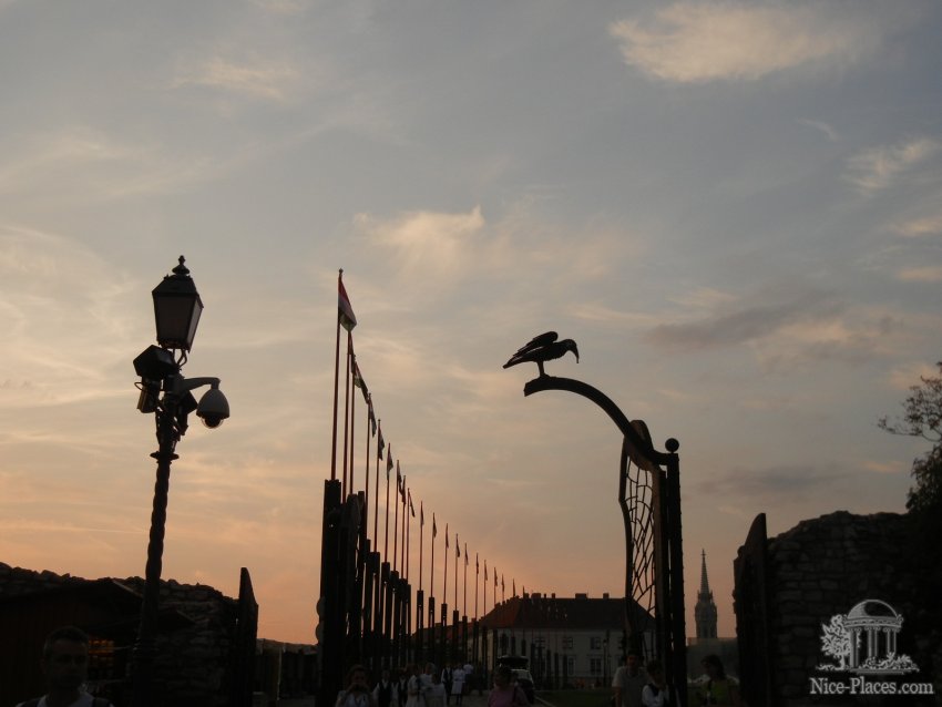 Фото достопримечательностей Будапешта: Ворон с кольцом в клюве — символ на гербе короля Матиаша Корвина