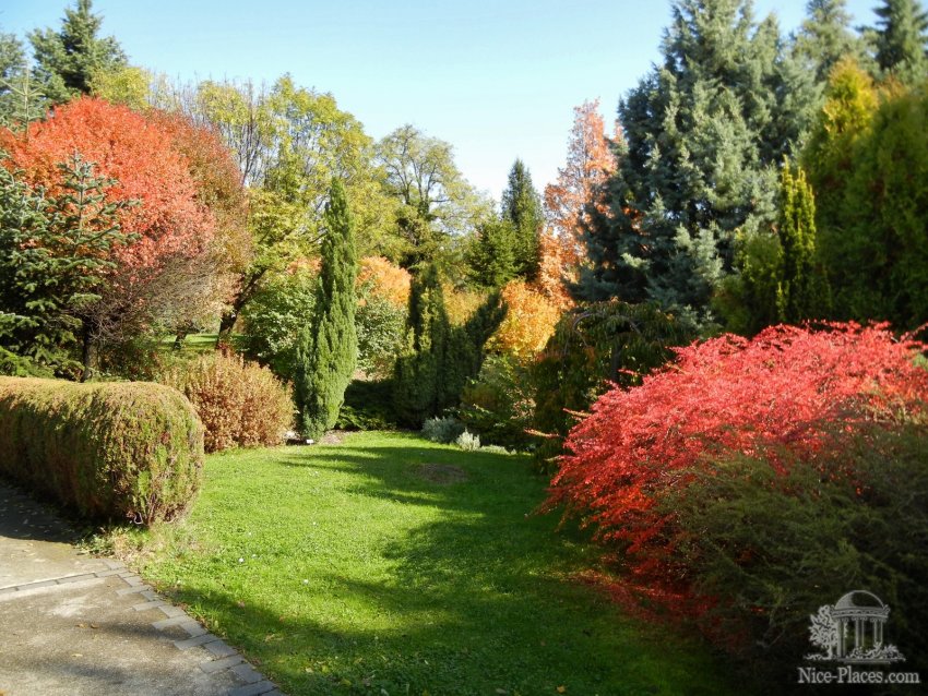 Фото достопримечательностей Словакии: В саду собраны вечнозеленые и листопадные деревья со всех уголков земли
