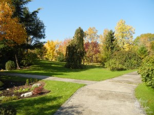 В ботаническом саду приятно гулять, здесь красиво и ухоженно (Словакия)