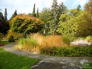 В середине сада - пруд с водными растениями (Словакия)