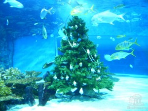 Рождественская ёлка в акульем аквариуме (Будапешт)
