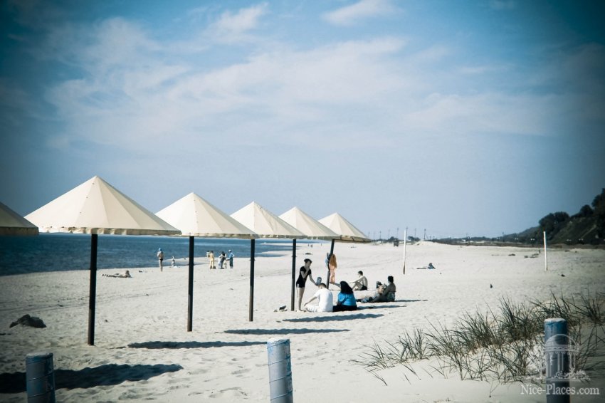 Фото достопримечательностей Европейской части России: На пляже в Янтарном установлены удобные зонтики.