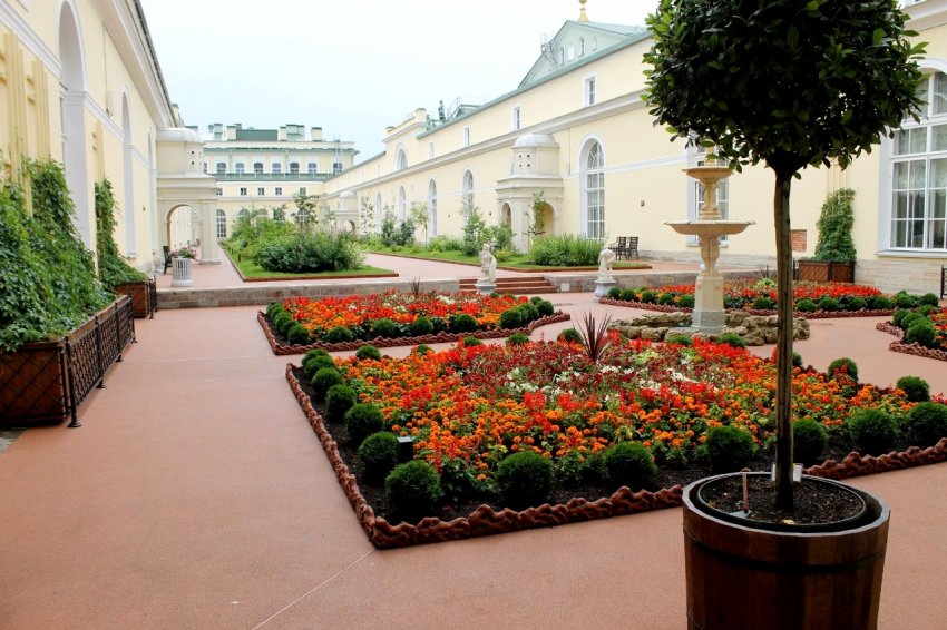 Фото достопримечательностей Санкт-Петербурга и области: Висячий сад в Малом эрмитаже