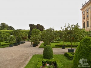 Сад принца Рудольфа с цитрусовыми деревьями (Вена)