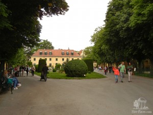 Венский зоопарк в Шонбрунне, один из общих видов (Вена)