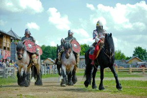 Для любителей лошадей в Княжеской конюшне Древнего Киева собрано больше 20 лучших исторических пород.  (Киев и область)