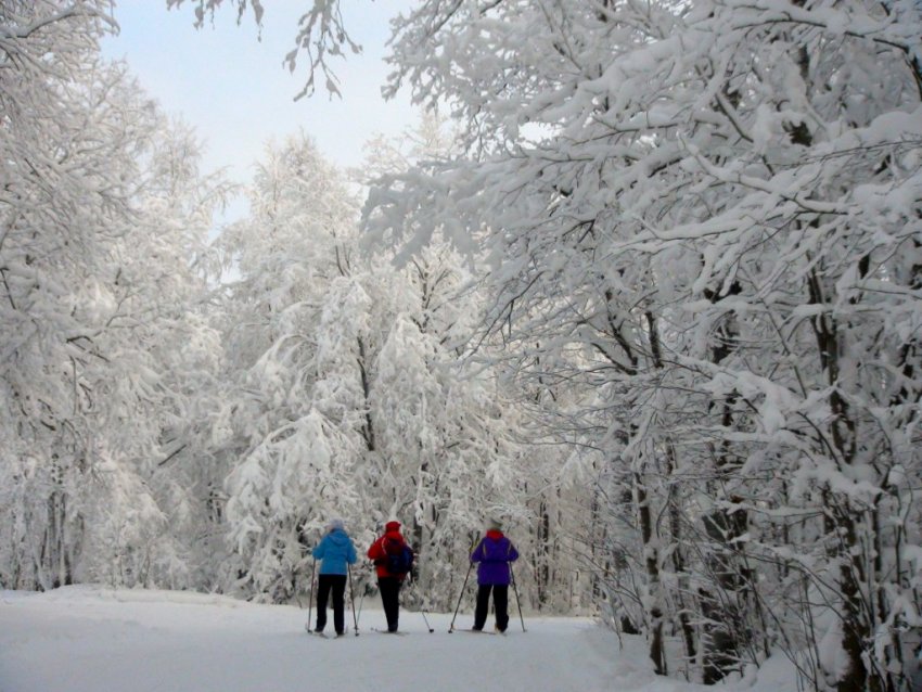 Фото достопримечательностей Карелии: Лыжные прогулки на территории курорта